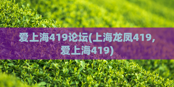 爱上海419论坛(上海龙凤419,爱上海419)