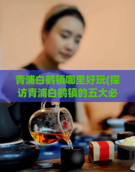 青浦白鹤镇哪里好玩(探访青浦白鹤镇的五大必游景点)
