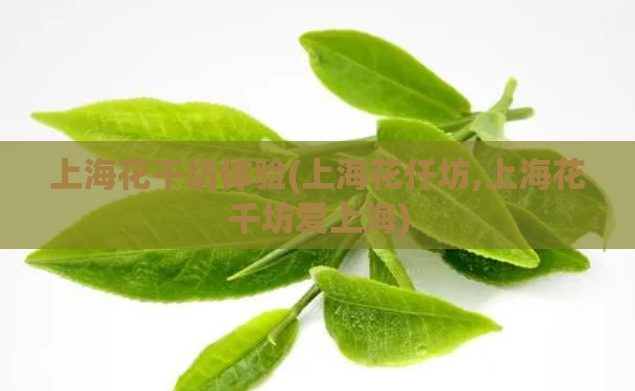 上海花千坊体验(上海花仟坊,上海花千坊爱上海)