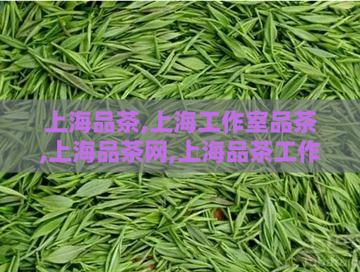 上海品茶,上海工作室品茶,上海品茶网,上海品茶工作室