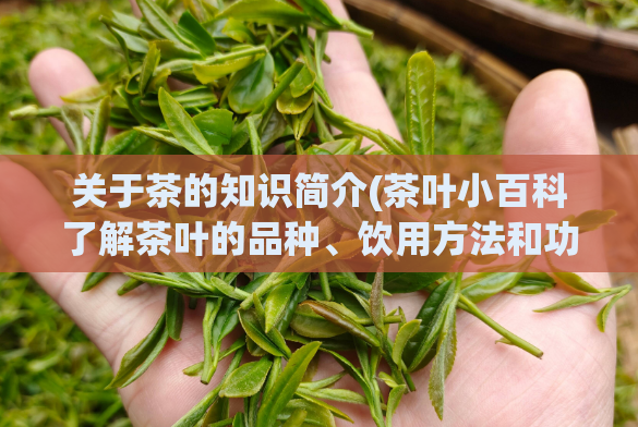 关于茶的知识简介(茶叶小百科了解茶叶的品种、饮用方法和功效)