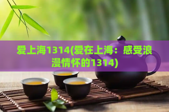 爱上海1314(爱在上海：感受浪漫情怀的1314)