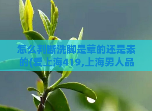 怎么判断洗脚是荤的还是素的(爱上海419,上海男人品茶)