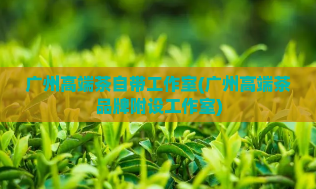广州高端茶自带工作室(广州高端茶品牌附设工作室)