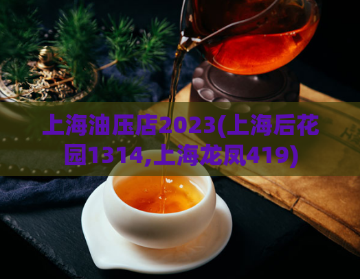 上海油压店2023(上海后花园1314,上海龙凤419)