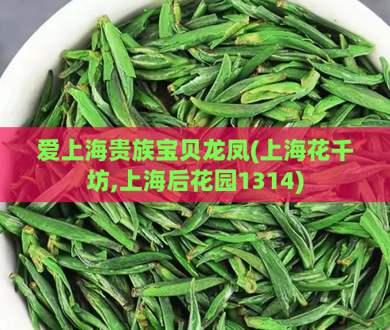 爱上海贵族宝贝龙凤(上海花千坊,上海后花园1314)