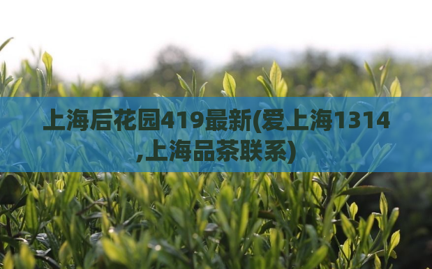 上海后花园419最新(爱上海1314,上海品茶联系)
