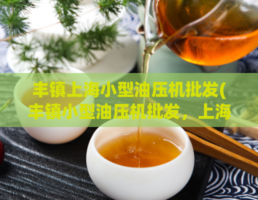 丰镇上海小型油压机批发(丰镇小型油压机批发，上海供应优质油压机设备)
