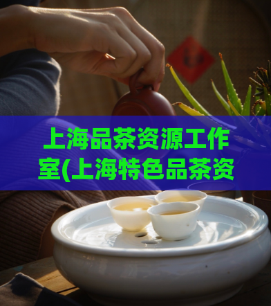 上海品茶资源工作室(上海特色品茶资源推荐，大众人气品牌！)