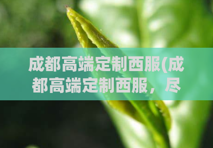 成都高端定制西服(成都高端定制西服，尽显绅士魅力)