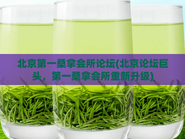 北京第一桑拿会所论坛(北京论坛巨头，第一桑拿会所重新升级)