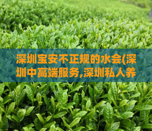 深圳宝安不正规的水会(深圳中高端服务,深圳私人养生工作室)