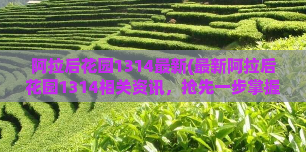 阿拉后花园1314最新(最新阿拉后花园1314相关资讯，抢先一步掌握！)