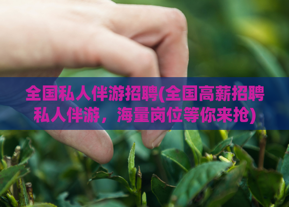 全国私人伴游招聘(全国高薪招聘私人伴游，海量岗位等你来抢)