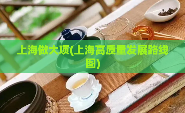 上海做大项(上海高质量发展路线图)