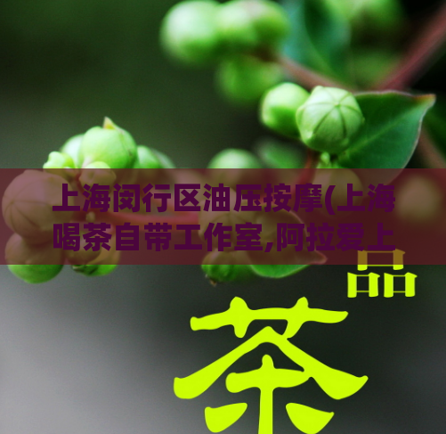 上海闵行区油压按摩(上海喝茶自带工作室,阿拉爱上海同城对对碰)