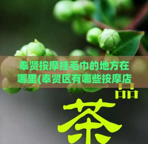 奉贤按摩挂毛巾的地方在哪里(奉贤区有哪些按摩店提供挂毛巾服务？)