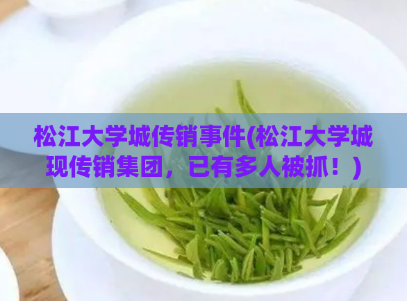 松江大学城传销事件(松江大学城现传销集团，已有多人被抓！)