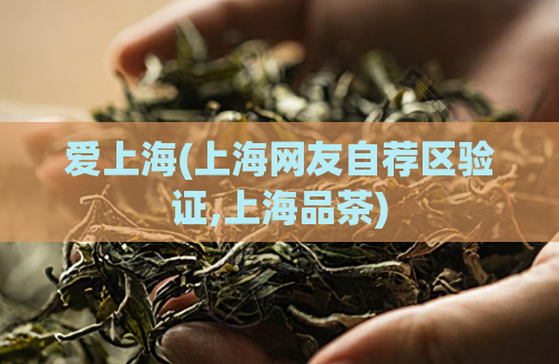 爱上海(上海网友自荐区验证,上海品茶)
