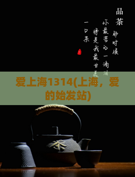 爱上海1314(上海，爱的始发站)