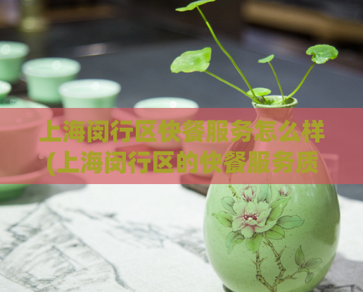 上海闵行区快餐服务怎么样(上海闵行区的快餐服务质量如何？)