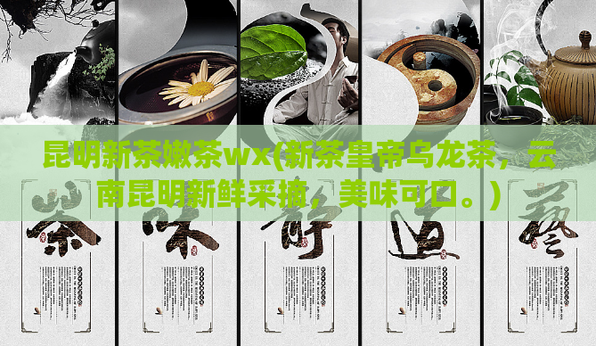 昆明新茶嫩茶wx(新茶皇帝乌龙茶，云南昆明新鲜采摘，美味可口。)