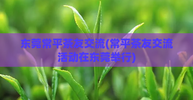 东莞常平茶友交流(常平茶友交流活动在东莞举行)