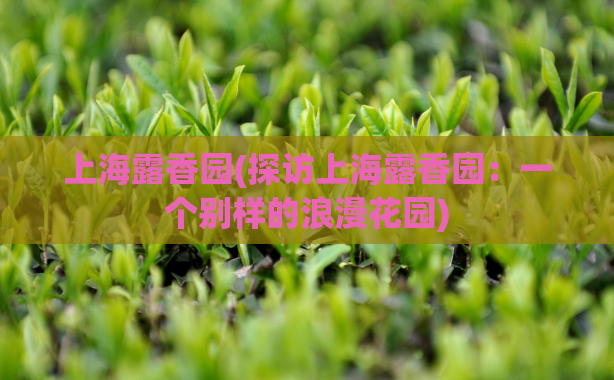上海露香园(探访上海露香园：一个别样的浪漫花园)