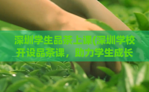 深圳学生品茶上课(深圳学校开设品茶课，助力学生成长)