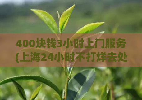 400块钱3小时上门服务(上海24小时不打烊去处,2021上海免费摆摊)