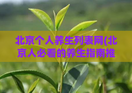 北京个人养生列表网(北京人必看的养生指南推荐)