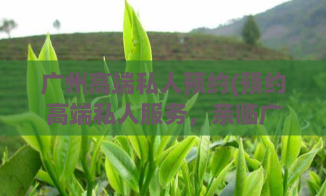 广州高端私人预约(预约高端私人服务,亲临广州尊享奢华体验)