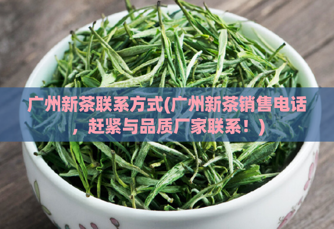 广州新茶联系方式(广州新茶销售电话,赶紧与品质厂家联系!)