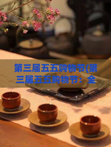 第三届五五购物节(第三届五五购物节：全民狂欢购物季)