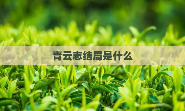 青云志结局是什么
