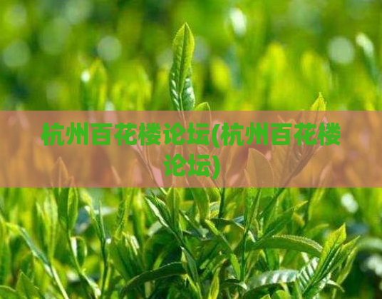 杭州百花楼论坛(杭州百花楼论坛)