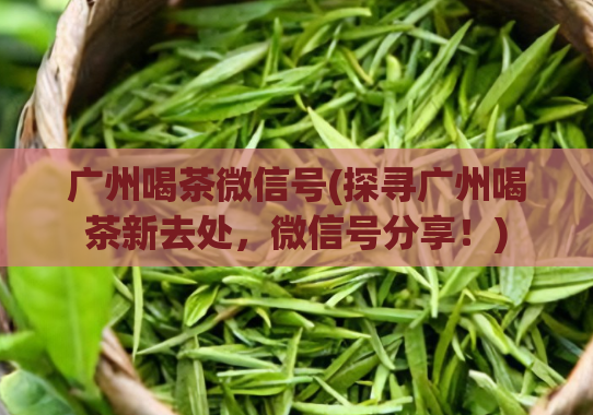 广州喝茶微信号(探寻广州喝茶新去处,微信号分享!)