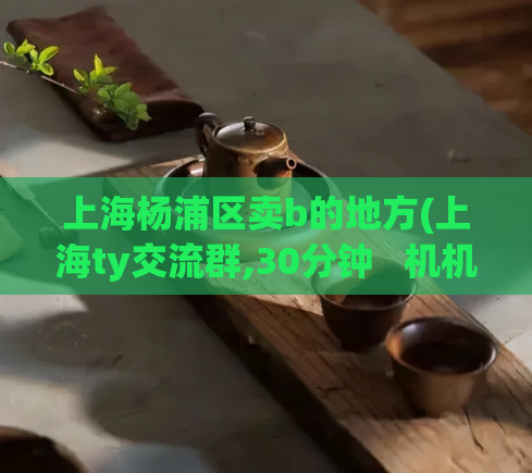 上海杨浦区卖b的地方(上海ty交流群,30分钟   机机对机机)