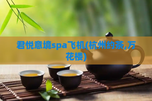君悦意境spa飞机(杭州约茶,万花楼)