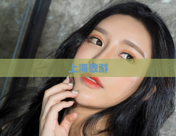 上海敬游