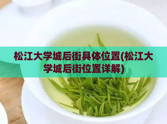 松江大学城后街具体位置(松江大学城后街位置详解)