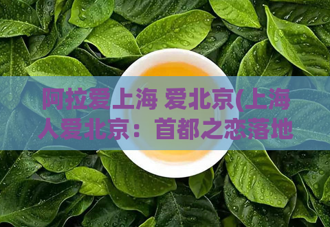 阿拉爱上海 爱北京(上海人爱北京：首都之恋落地于繁华都市)