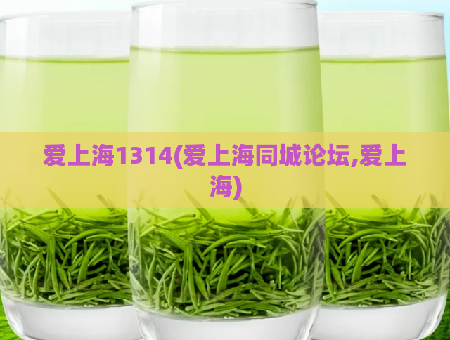 爱上海1314(爱上海同城论坛,爱上海)