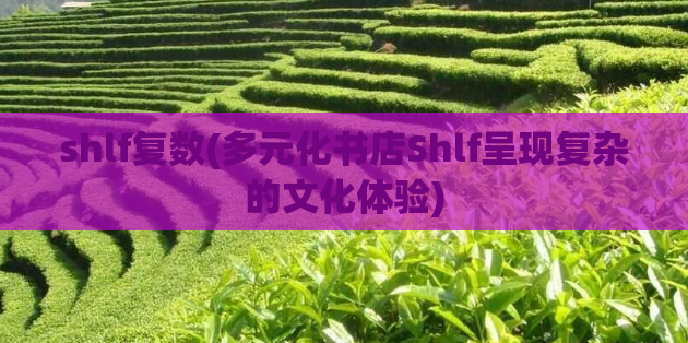 shlf复数(多元化书店Shlf呈现复杂的文化体验)