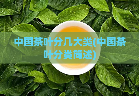 中国茶叶分几大类(中国茶叶分类简述)