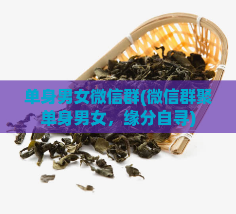 单身男女微信群(微信群聚单身男女，缘分自寻)