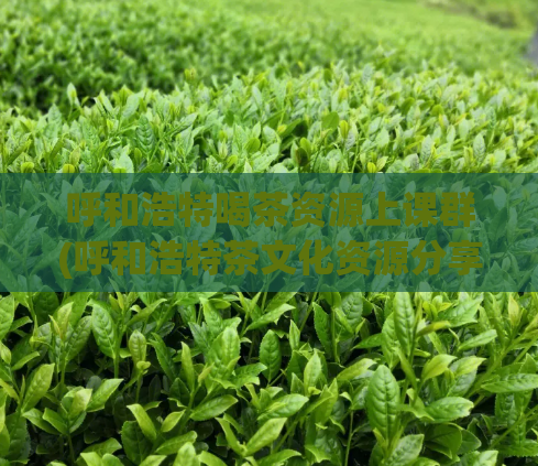 呼和浩特喝茶资源上课群(呼和浩特茶文化资源分享。)