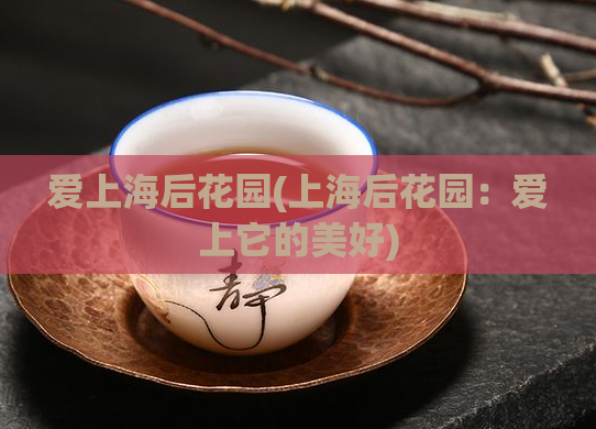 爱上海后花园(上海后花园：爱上它的美好)
