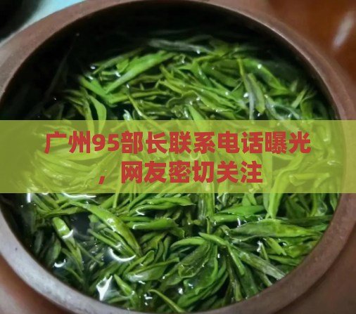 广州95部长联系电话曝光,网友密切关注