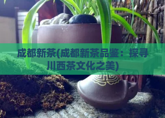 成都新茶(成都新茶品鉴：探寻川西茶文化之美)